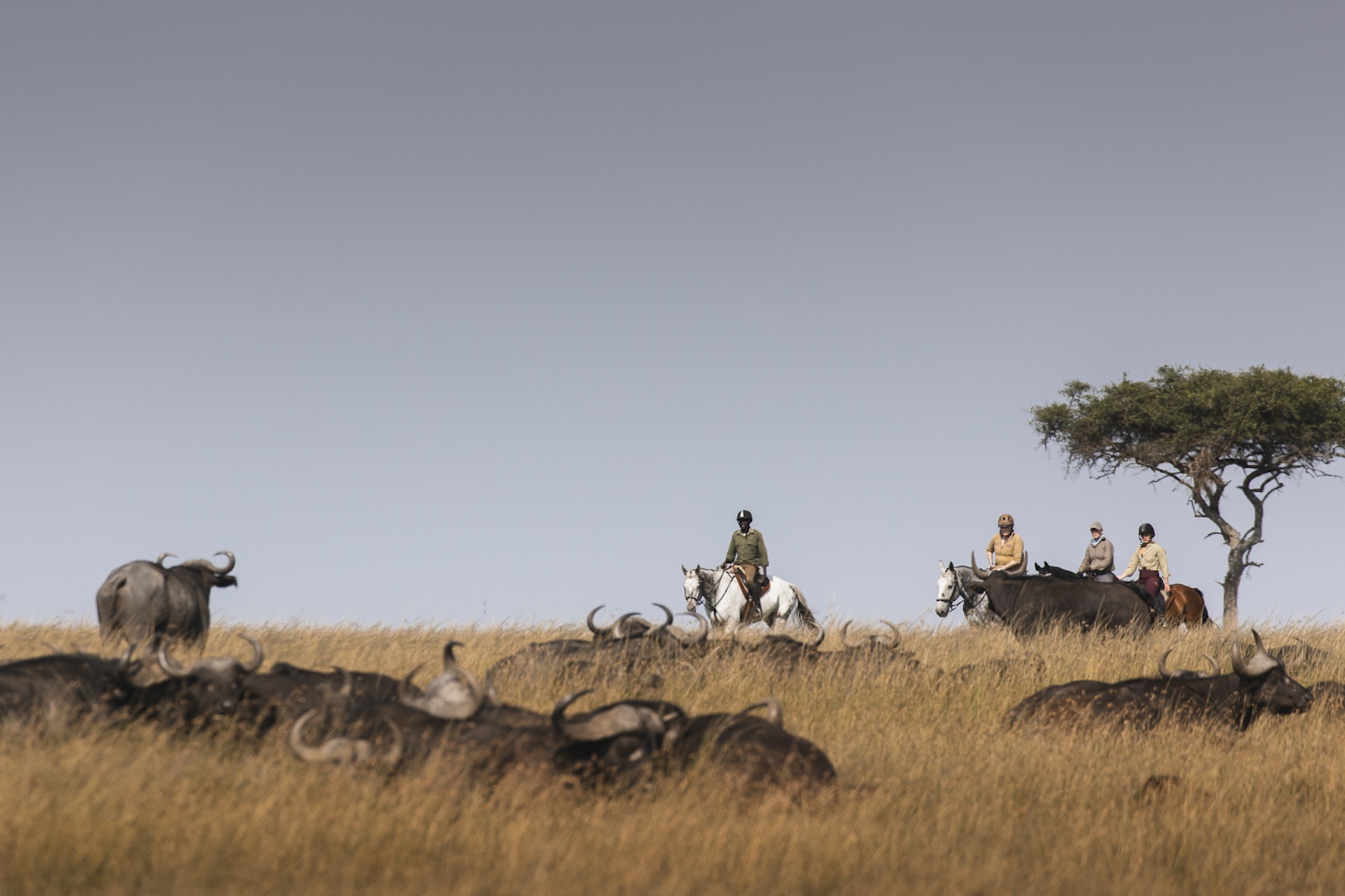Masai Mara Horse Safari with Gordie Church